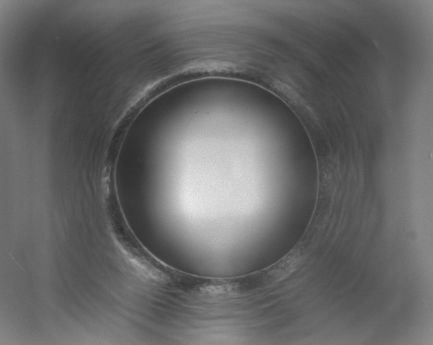 X0000054390160200508121642