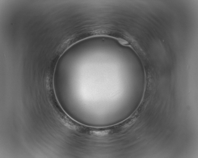 X0000054390161200508121642