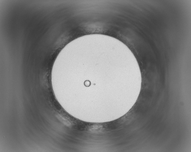 X0000054390162200508121642