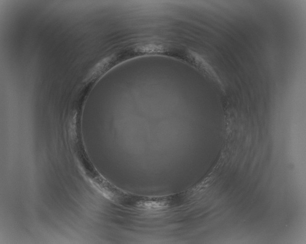 X0000054390163200508121642