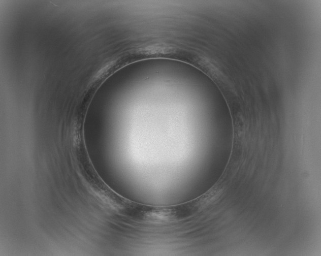 X0000054390164200508121642