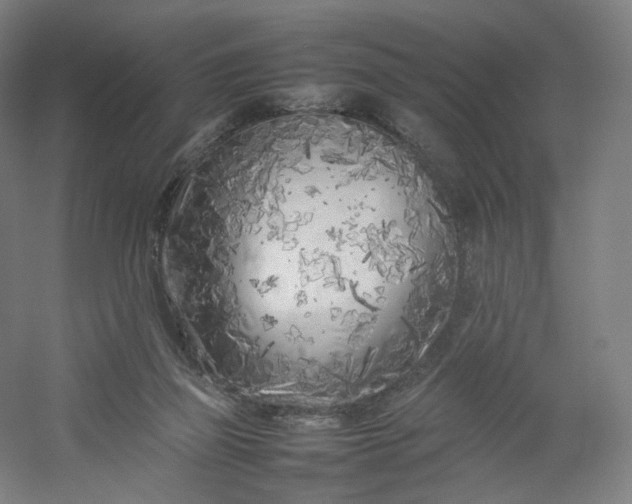 X0000054390165200508121642