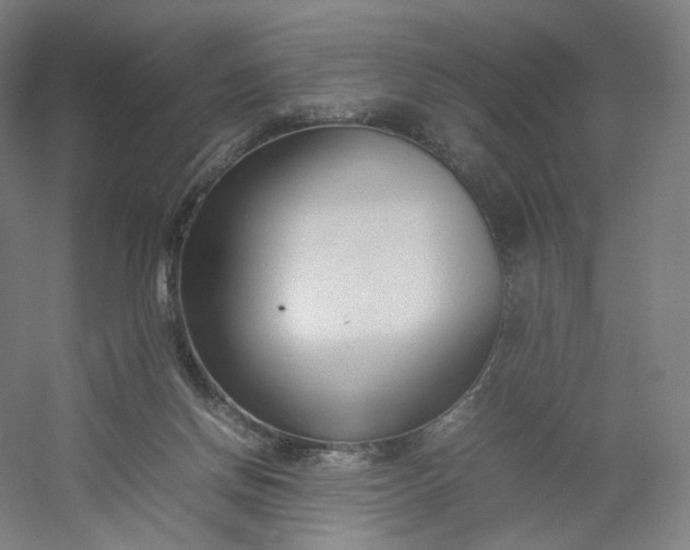 X0000054390166200508121642