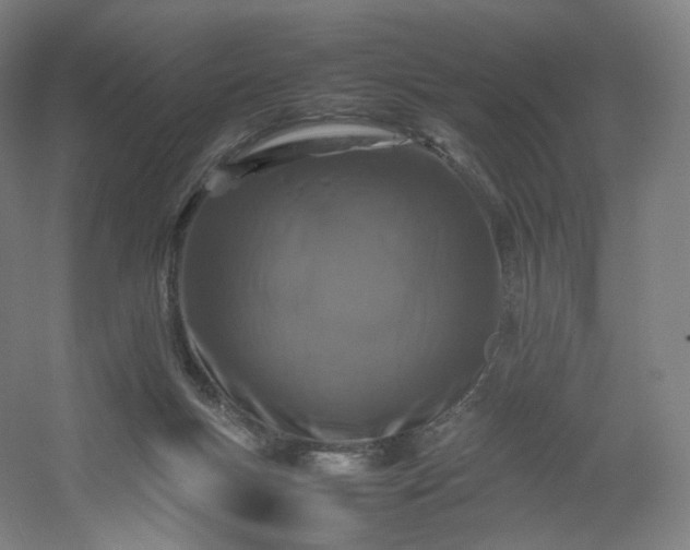 X0000054390167200508121642