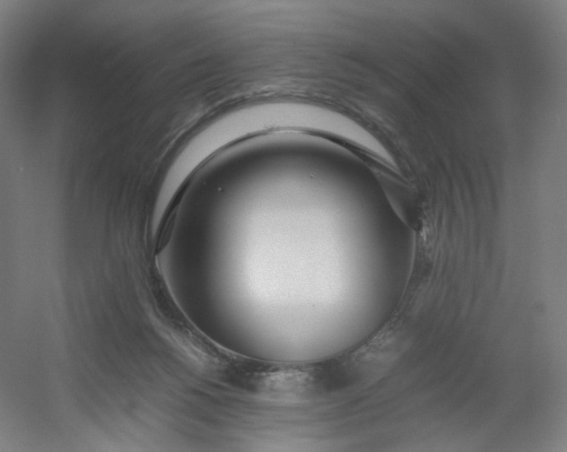 X0000054390168200508121642