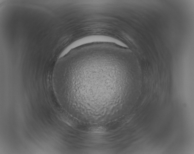 X0000054390169200508121642