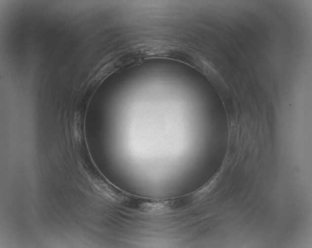 X0000054390170200508121642