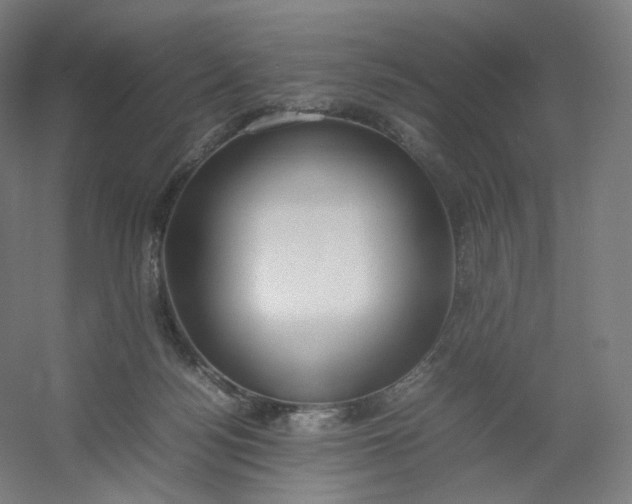 X0000054390172200508121642