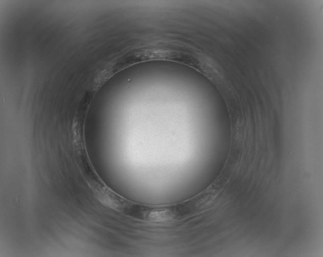 X0000054390173200508121642