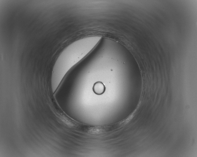 X0000054390174200508121642