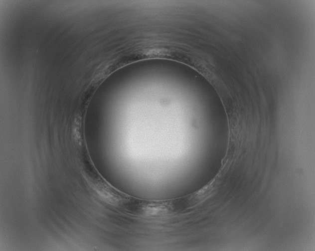 X0000054390175200508121642