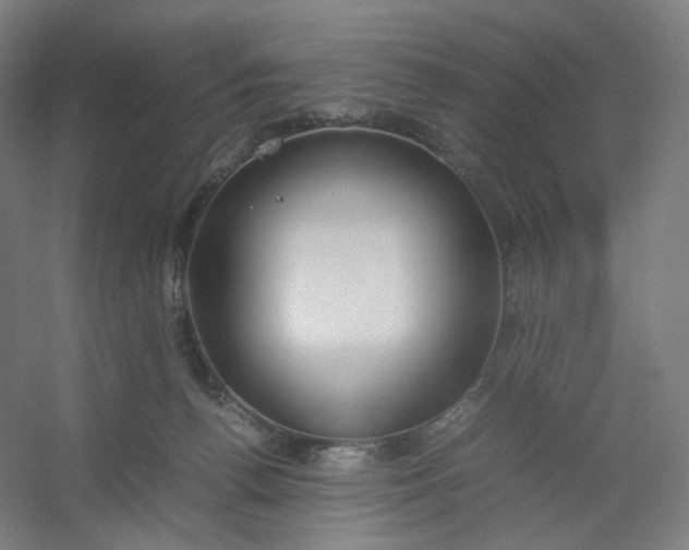 X0000054390176200508121642