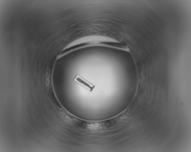 X0000054390177200508121642