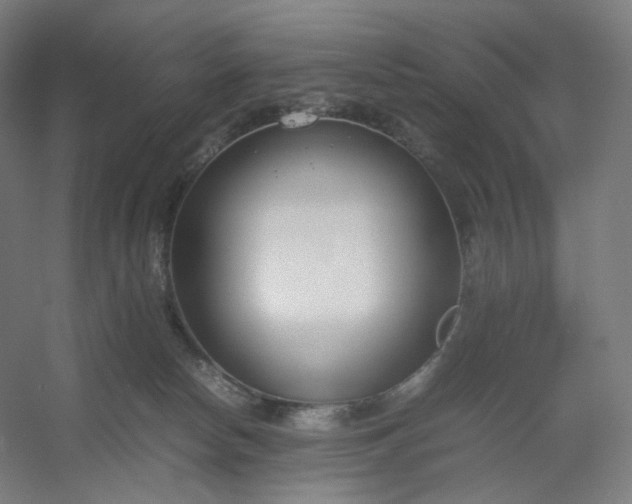 X0000054390178200508121642