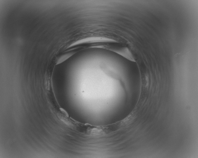 X0000054390180200508121642