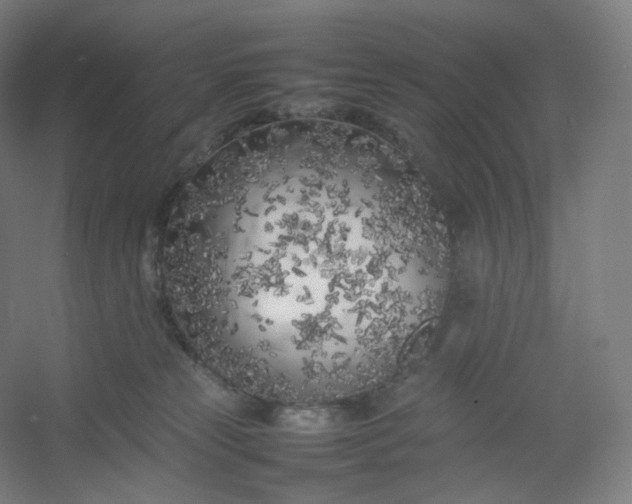 X0000054390181200508121642