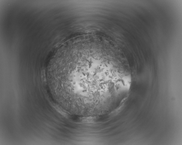 X0000054390182200508121642