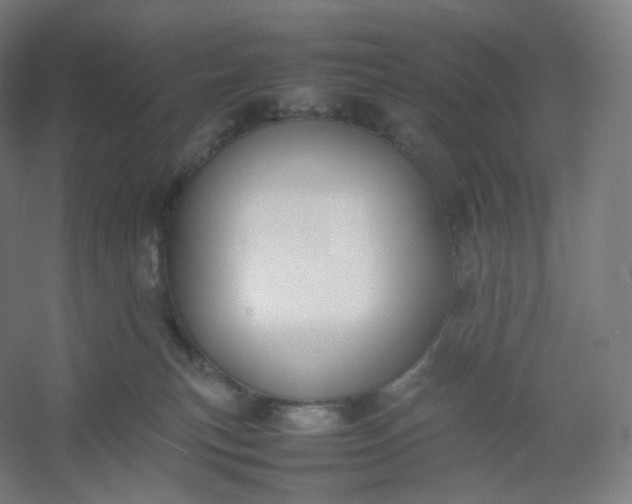 X0000054390183200508121642