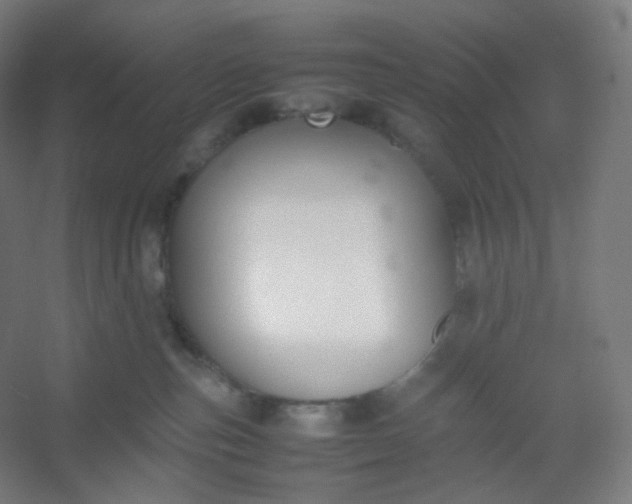 X0000054390187200508121642