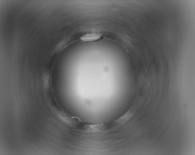 X0000054390188200508121642