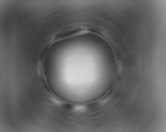 X0000054390189200508121642