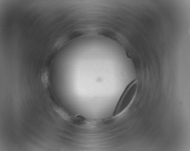 X0000054390190200508121642