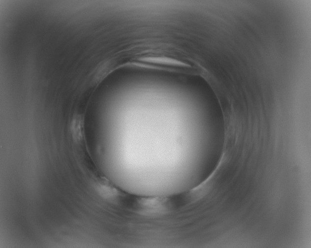 X0000054390191200508121642