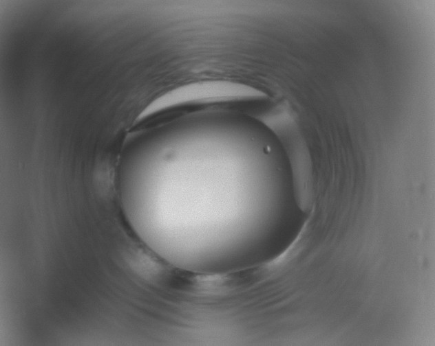 X0000054390192200508121642