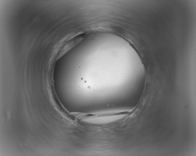 X0000054390193200508121642