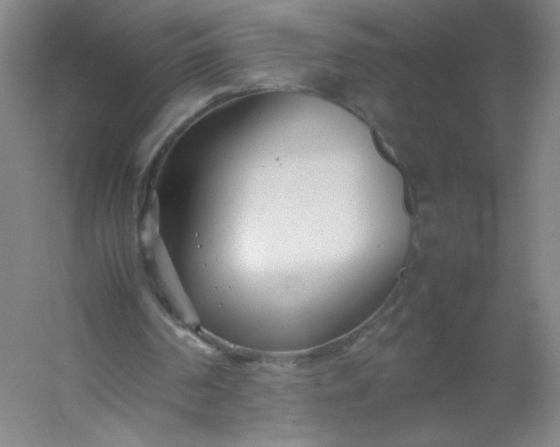 X0000054390194200508121642