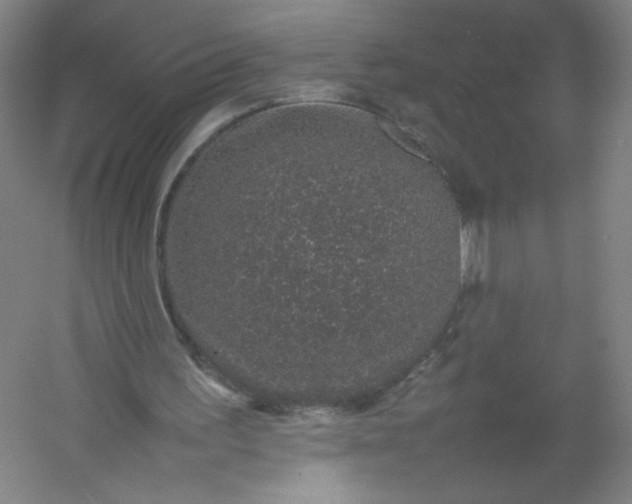 X0000054390195200508121642