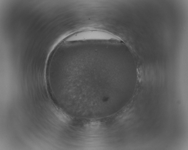 X0000054390196200508121642