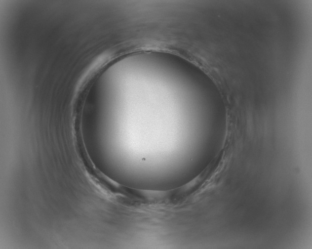 X0000054390197200508121641