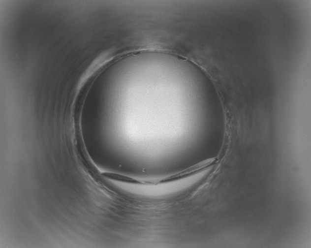 X0000054390198200508121641