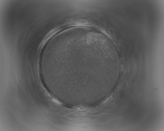 X0000054390199200508121641