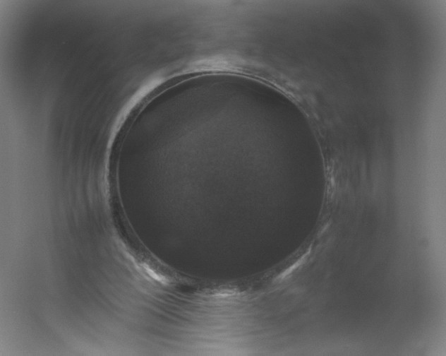 X0000054390200200508121641