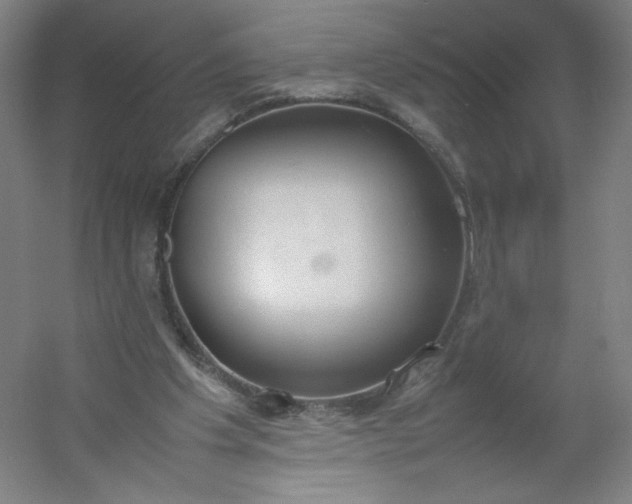 X0000054390201200508121641