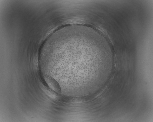 X0000054390202200508121641