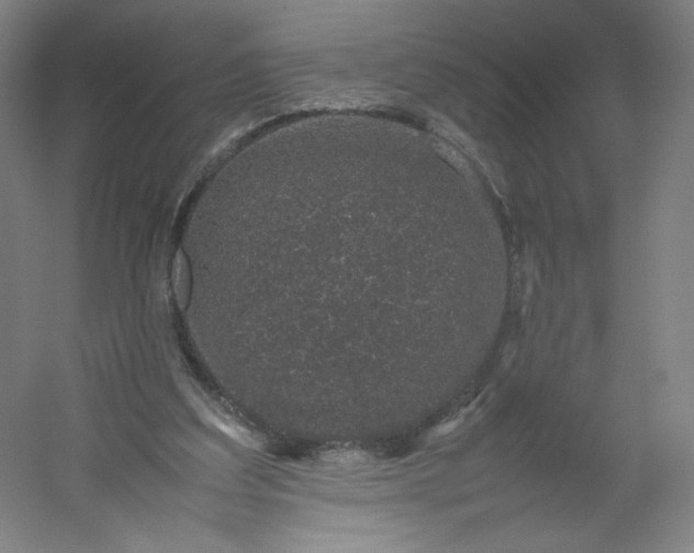 X0000054390203200508121641