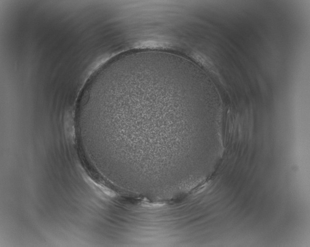 X0000054390204200508121641