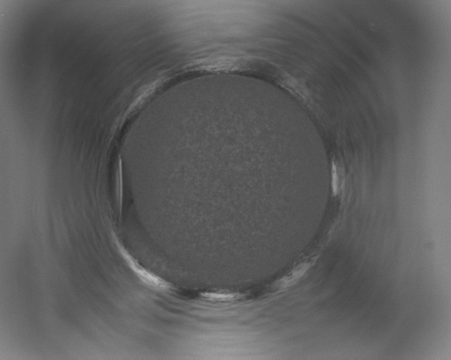 X0000054390205200508121641