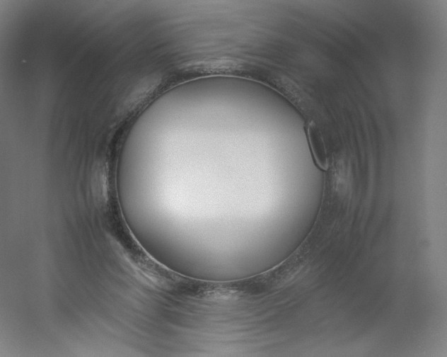 X0000054390206200508121641