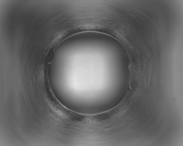 X0000054390207200508121641