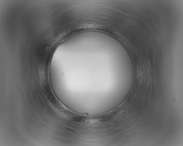 X0000054390208200508121641