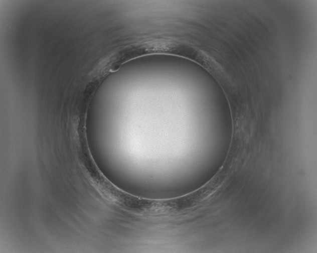 X0000054390209200508121641