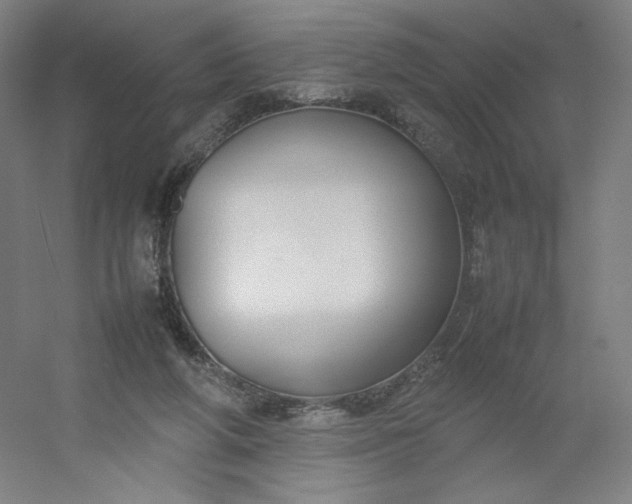 X0000054390210200508121641