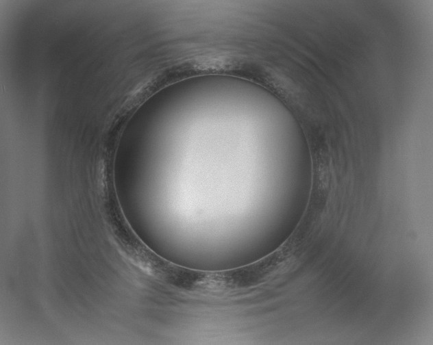 X0000054390211200508121641