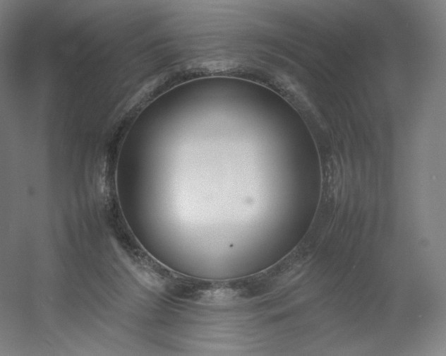 X0000054390212200508121641