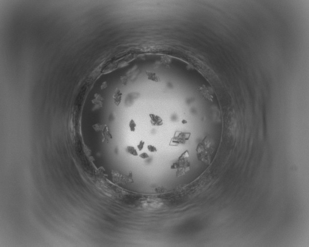 X0000054390214200508121641