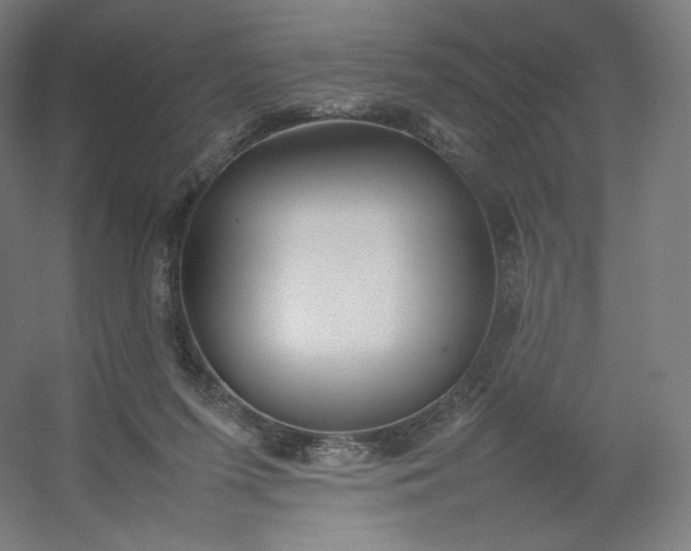 X0000054390215200508121641